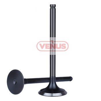 Engine_valve